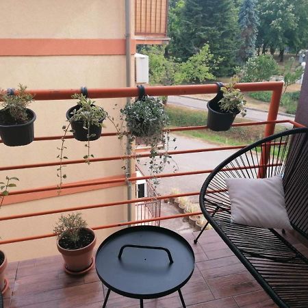 Koko Apartman Vrnjačka Banja Exterior foto